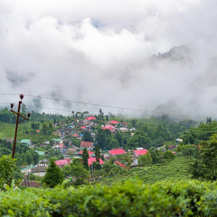 Family terraces and cafés for calm evenings in Seattle